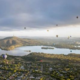 a bird flying over a body of water
