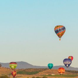 a group of people flying kites on a beach