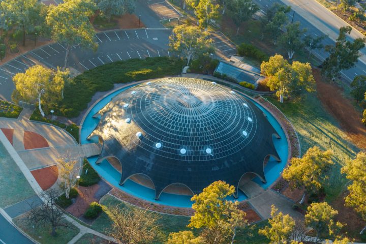 a close up of a flower garden