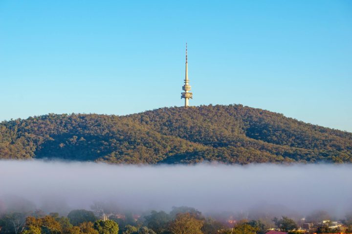 a tree with High Point in the background