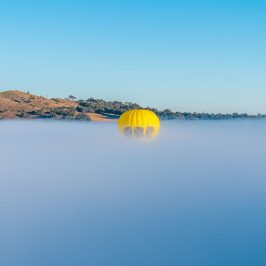 a large body of water