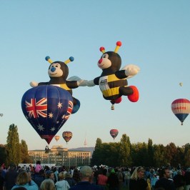 a group of people flying kites in the air