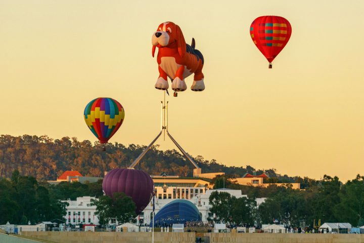 a group of people flying kites in the air